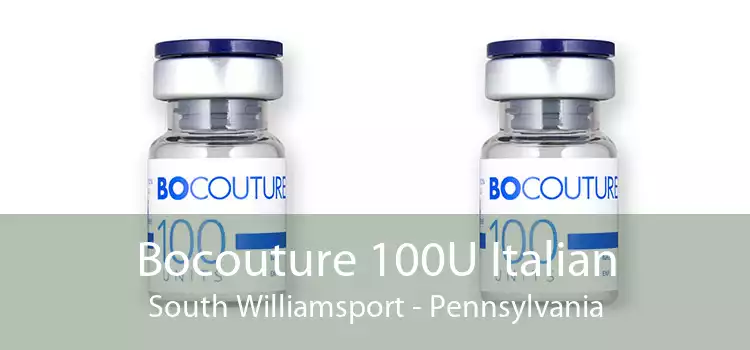 Bocouture 100U Italian South Williamsport - Pennsylvania