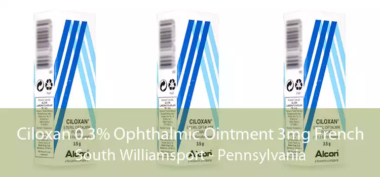 Ciloxan 0.3% Ophthalmic Ointment 3mg French South Williamsport - Pennsylvania
