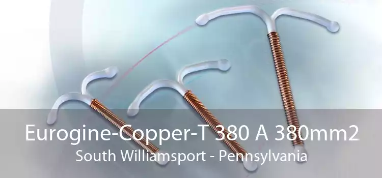 Eurogine-Copper-T 380 A 380mm2 South Williamsport - Pennsylvania