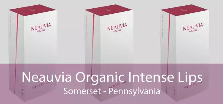 Neauvia Organic Intense Lips Somerset - Pennsylvania