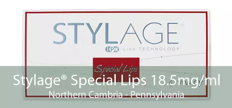 Stylage® Special Lips 18.5mg/ml Northern Cambria - Pennsylvania